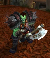 Image of Conquest Hold Raider