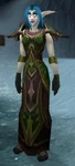 Darnassus Valiant