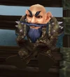 Gnomeregan Valiant