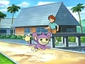 EP392 Aipom.png