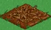 Watermelon withered