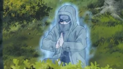 Secret Technique Insect Cocoon