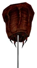 Barnacle HL1