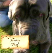 Monkey plays Rubeus Hagrid's Pet Dog Fang in HP5