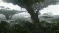 FloraPandora.jpg
