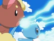 EP582 Buneary y Phione usando rayo hielo