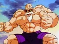 Maestro roshi max power