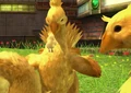 Chocobo family.jpg