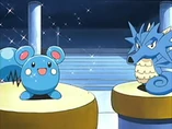 EP387 Azurill y Seadra de Galano