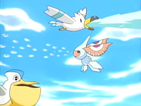 Fontaine EP387_Wingull%2C_Masquerain_y_Pelipper_de_Galano