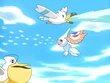 EP387 Wingull, Masquerain y Pelipper de Galano