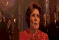 Fireworks 02.gif