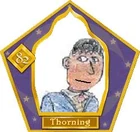 Thorning HPW