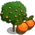 Orange Tree-icon