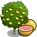 Grapefruit Tree-icon