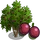 Passion Fruit Tree-icon