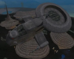 MAF 2.JPG