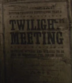 Twilight Meeting