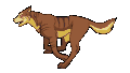 24640 1.gif