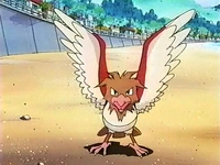 http://images2.wikia.nocookie.net/__cb20100104104932/es.pokemon/images/9/9d/EP086_Spearow_del_chaval.png