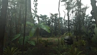 OldJungle