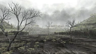 Oldswamp