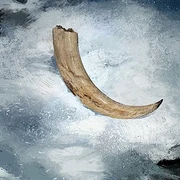 Hoth Hog Tusk