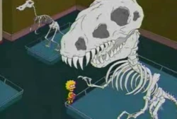 Dinosaur bones