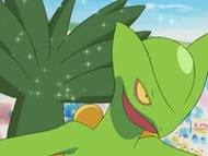 EP405 Sceptile absorbiendo los rayos del sol
