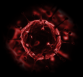 Virus