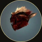 Whitebalverinehead