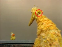 Bnlbirdblooper