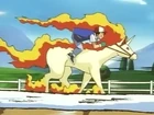 Rapidash de Ash‎