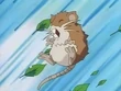 EP052 Raticate