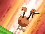 EP075 Doduo