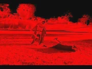 106.jpg