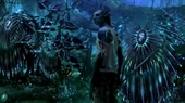 Pandora4.jpg