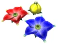 Buds Artwork.jpg