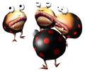 Dwarf Bulbearz.jpg