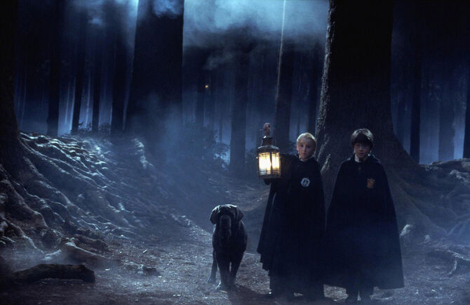 http://images2.wikia.nocookie.net/__cb20100109121116/harrypotter/ru/images/thumb/3/3a/Forest.jpg/670px-Forest.jpg