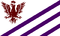 Mashflag