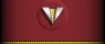 Sleeve insignia.