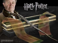 Slug Wand