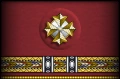 Sleeve insignia.