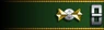 Shoulder insignia.