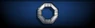 Sleeve insignia.