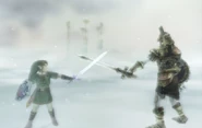 Link vs. Hero's Shade