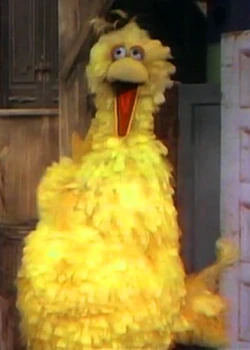 BIgbirdseason2