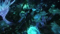 Biolumineszenz2.jpg