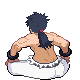 Bruno HGSS.gif